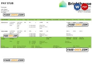 USA Brighthouse Financial financial company pay stub Word and PDF template