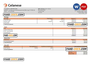 USA Celanese technology company pay stub Word and PDF template