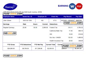 USA Diversey household goods company pay stub Word and PDF template