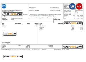 USA Entertainment Partners Enterprises financial company pay stub Word and PDF template