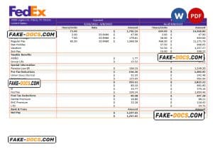 USA Fedex transportation company pay stub Word and PDF template