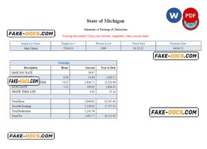 USA State of Michigan social services company pay stub Word and PDF template