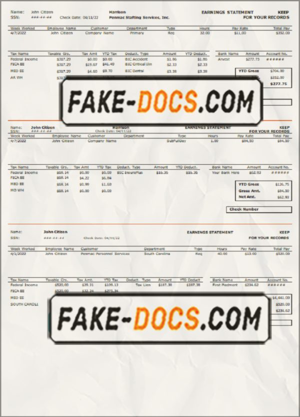 better help pay stub template in Word and PDF format scan