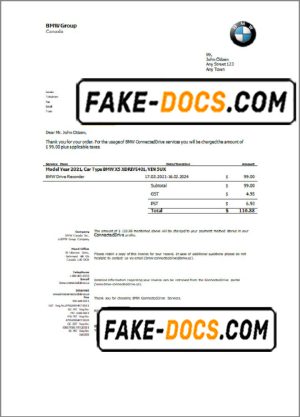 USA BMW invoice template in Word and PDF format, fully editable