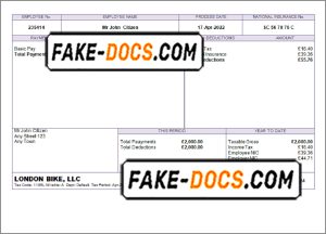 true form pay stub template in Word and PDF format
