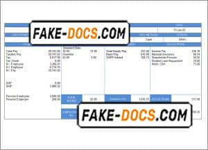 elegant looks pay stub template in Word and PDF format