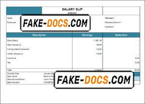 hang time pay stub template in Word and PDF format