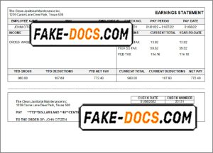 smart up pay stub template in Word and PDF format
