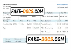 steady form pay stub template in Word and PDF format