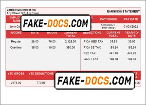 sure shot pay stub template in Word and PDF format