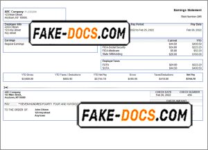 special link pay stub template in Word and PDF format