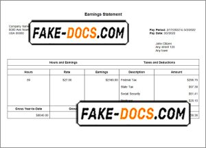 look out pay stub template in Word and PDF format look out pay stub template in Word and PDF format