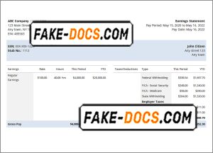 save more pay stub template in Word and PDF format