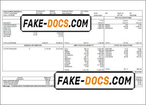 perfect fit pay stub template in Word and PDF format