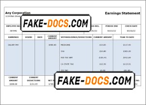 focus point pay stub template in Word and PDF format