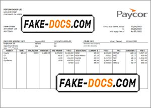 clean sweep pay stub template in Word and PDF format