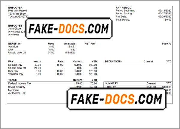 enough good pay stub template in Word and PDF format