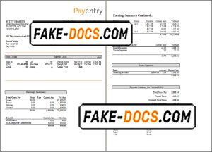 nice likes pay stub template in Word and PDF format