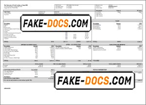 fully mind pay stub template in Word and PDF format