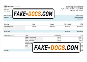 unique one pay stub template in Word and PDF format