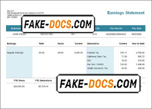 central mass pay stub template in Word and PDF format