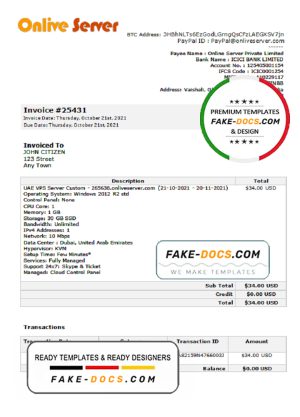 India Online Server company invoice template in Word and PDF format, fully editable