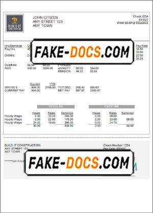 true market pay stub template in Word and PDF format