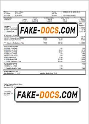 bale out pay stub template in Word and PDF format
