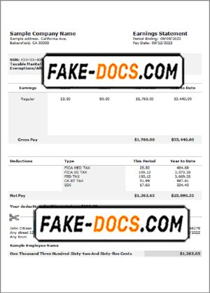 nice job pay stub template in Word and PDF format