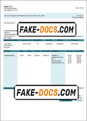 joyful start pay stub template in Word and PDF format joyful start pay stub template in Word and PDF format