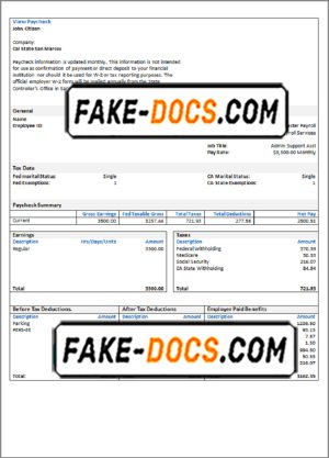 over cutely pay stub template in Word and PDF format