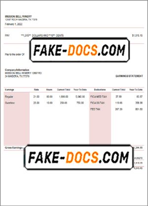 fine touch pay stub template in Word and PDF format