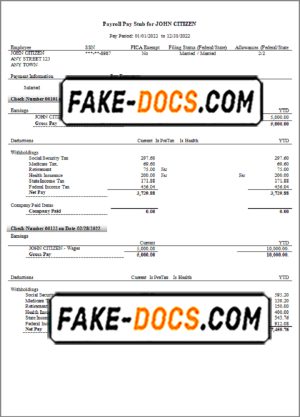 smart router pay stub template in Word and PDF format