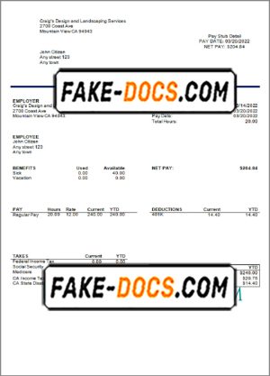 bright mind pay stub template in Word and PDF format