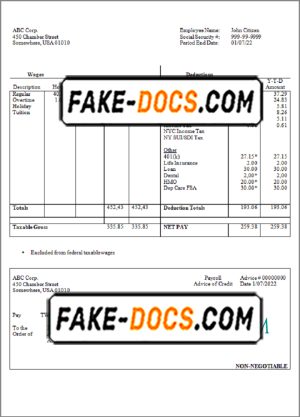 neat desk pay stub template in Word and PDF format