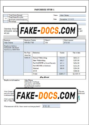 good liker pay stub template in Word and PDF format
