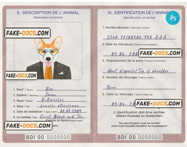 Burundi dog (animal, pet) passport PSD template, completely editable scan