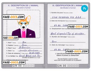 Guinea dog (animal, pet) passport PSD template, fully editable
