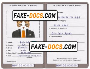 Maldives cat (animal, pet) passport PSD template, fully editable