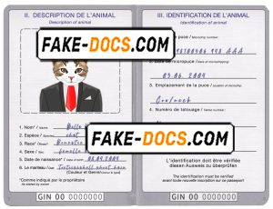 Guinea cat (animal, pet) passport PSD template, fully editable