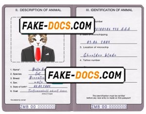 Zambia cat (animal, pet) passport PSD template, fully editable