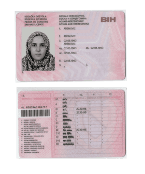 Bosnia and Herzegovina driving license PSD file