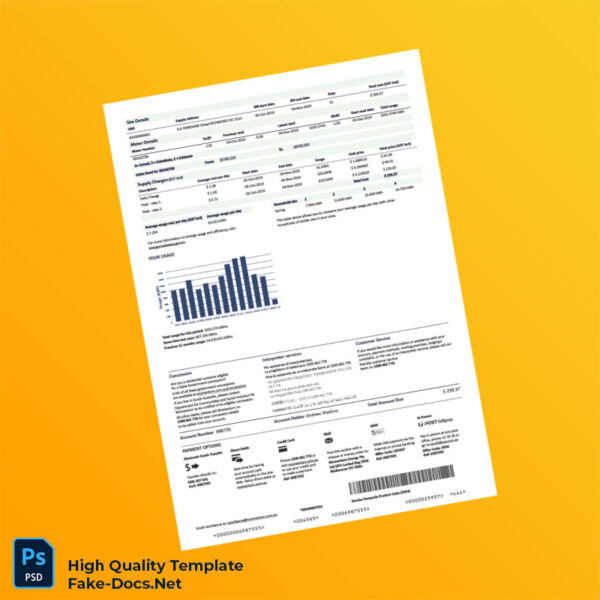 Australia Momentum Energy Editable Electricity Bill Template in Word and PDF formats 2 page