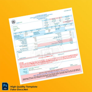Bangladesh Dhaka Power Distribution Company Editable Utility Bill Template in Word and PDF formats