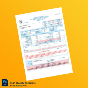 Bangladesh Dhaka Power Distribution Company Ltd Editable Electricity Bill Template in Word and PDF formats