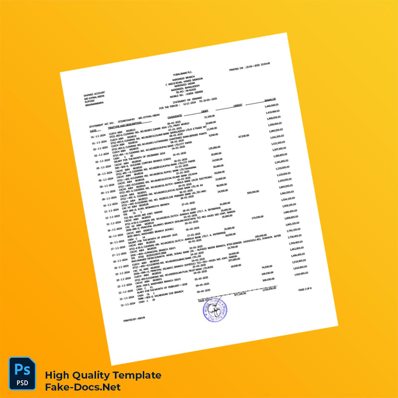 Bangladesh Pubali Bank Statement Template in Word and PDF formats 7 page Bangladesh Pubali Bank Statement Template in Word and PDF formats 7 page