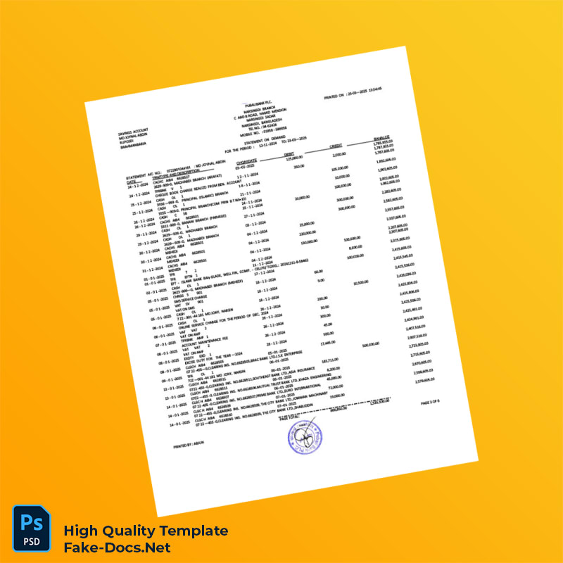 Bangladesh Pubali Bank Statement Template in Word and PDF formats 7 page Bangladesh Pubali Bank Statement Template in Word and PDF formats 7 page