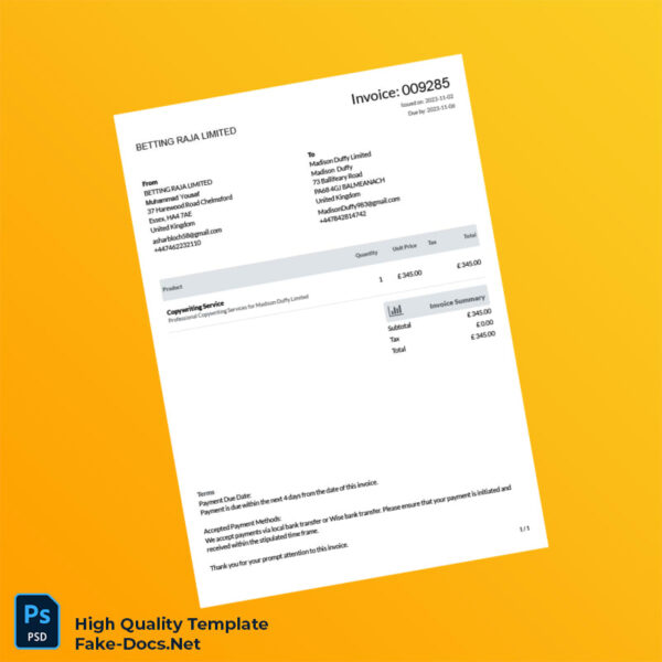 Bank Statement and Invoices Template in Word and PDF formats 7 page