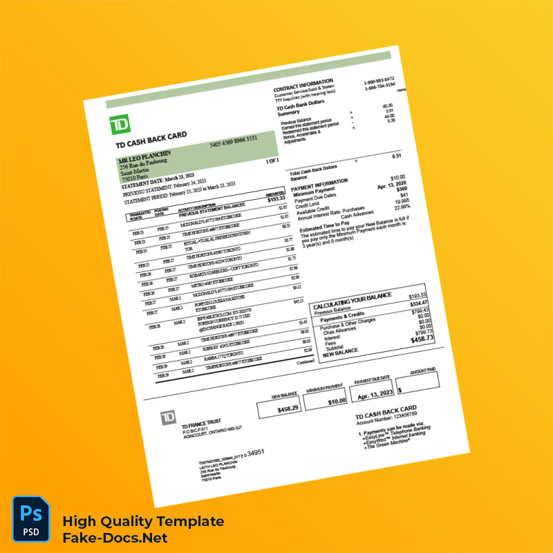 France TD France Trust Credit Card Statement Template in Word and PDF formats 2 page France TD France Trust Credit Card Statement Template in Word and PDF formats 2 page