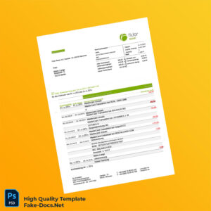 Germany Fidor Bank Statement Template in Word and PDF formats